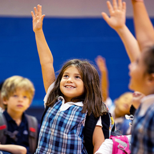 Young school children raising their hands in class.